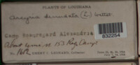 Arcyria denudata image